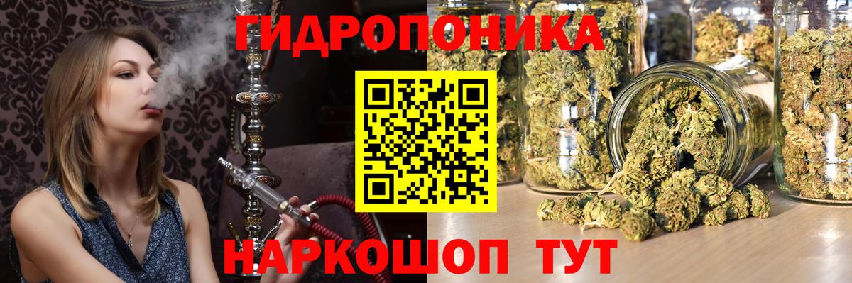 Канабис сатива  Вход с VPN  Каннабис планчик  Каннабис THC 21%  Бошки марихуана White Widow  Тулун 